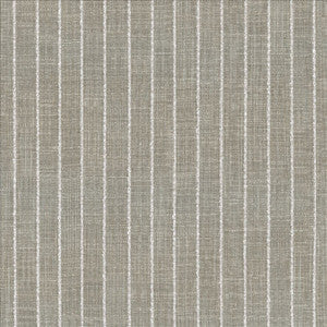 Charismatic Platinum by Kasmir Designer Fabric