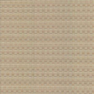 Check This Out Haze by Kasmir Designer Fabric