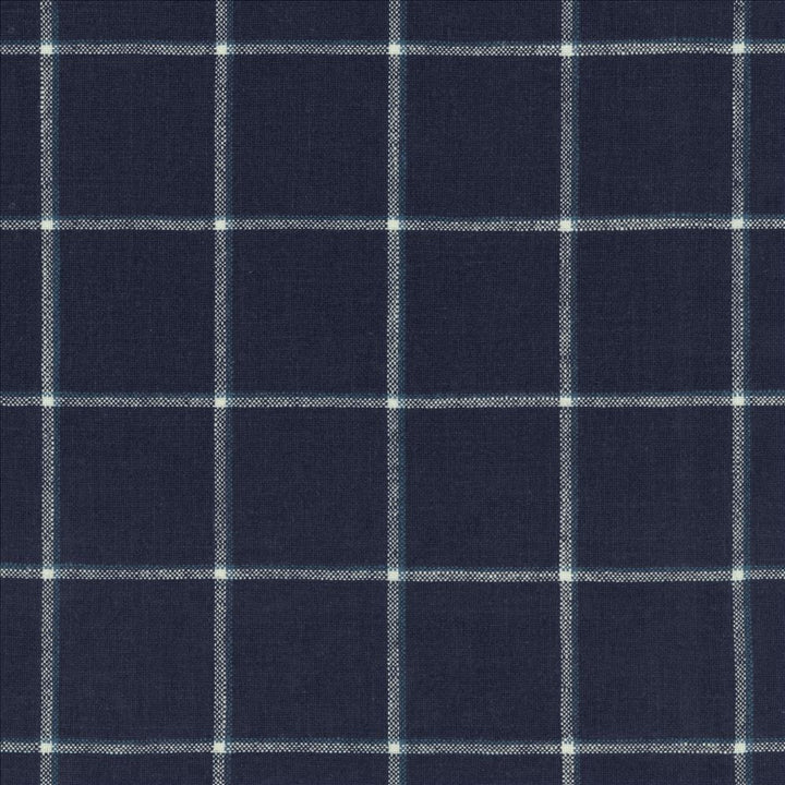 Checkered Past Marina  by Kasmir Designer Fabric 1458 55% Linen
45% Rayon
 CHINA 36,000 Wyzenbeek Double Rubs Horizontal: 3 3/8 inches and Vertical: 3 3/8 inches 54  - Swanky Fabrics -