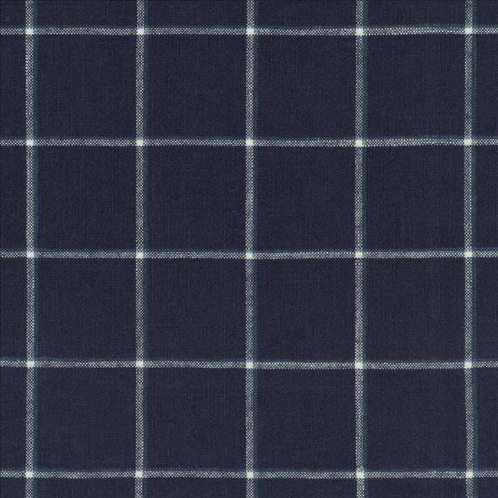 Checkered Past Marina by Kasmir Designer Fabric 1458 55% Linen
45% Rayon
 CHINA 36,000 Wyzenbeek Double Rubs </p><p>Repeat: Horizontal: 3 3/8 inches and Vertical: 3 3/8 inches 54 - Swanky Fabrics -