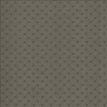 Chiseled Dove by Kasmir Designer Fabric 5119 62% Polyester 38% Cotton INDIA 30,000 Wyzenbeek Double Rubs H: 1 2/8 inches, V: 1 inches 54 - Swanky Fabrics - Kasmir