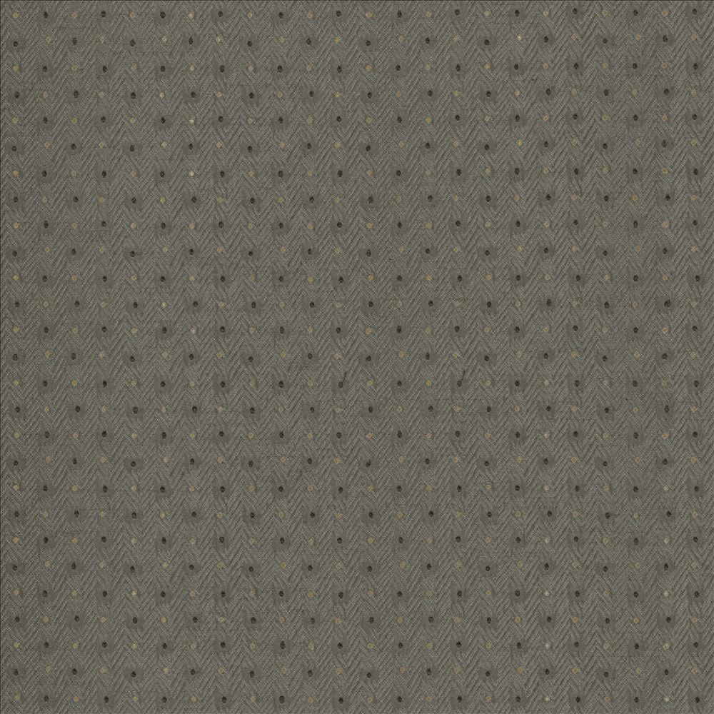 Chiseled Dove by Kasmir Designer Fabric 5119 62% Polyester
38% Cotton
 INDIA </p><p>Repeat: Horizontal: 1 2/8 inches and Vertical: 1 inches 54 - Swanky Fabrics -