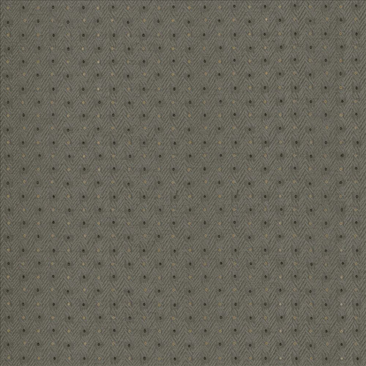 Chiseled Dove by Kasmir Designer Fabric 5119 62% Polyester
38% Cotton
 INDIA </p><p>Repeat: Horizontal: 1 2/8 inches and Vertical: 1 inches 54 - Swanky Fabrics -