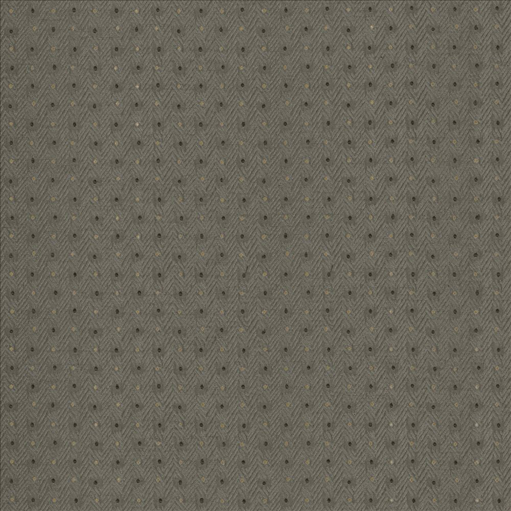 Chiseled Dove by Kasmir Designer Fabric 5119 62% Polyester
38% Cotton
 INDIA 30,000 Wyzenbeek Double Rubs </p><p>Repeat: Horizontal: 1 2/8 inches and Vertical: 1 inches 54 - Swanky Fabrics -