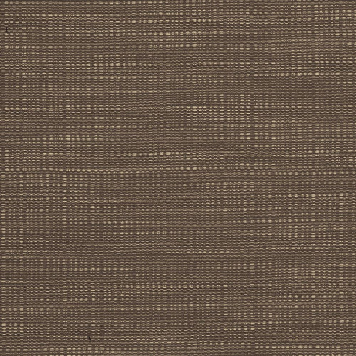Ciro Darjeeling by Kasmir Designer Fabric 5101 56% Rayon
44% Polyester
 CHINA </p><p>Repeat: Horizontal: N/A and Vertical: N/A 55 - Swanky Fabrics -