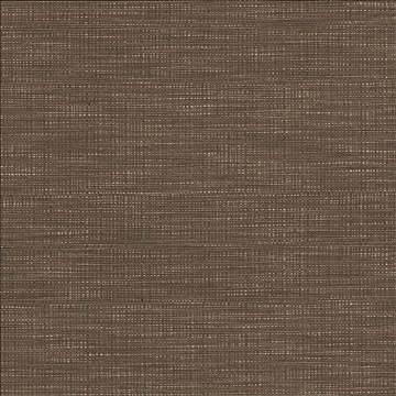 Ciro Darjeeling by Kasmir Designer Fabric 5101 56% Rayon 44% Polyester CHINA 51,000 Wyzenbeek Double Rubs H: N/A, V: N/A 55 - Swanky Fabrics - Kasmir