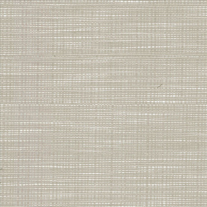 Ciro Elephant  by Kasmir Designer Fabric 5100 56% Rayon
44% Polyester
 CHINA 51,000 Wyzenbeek Double Rubs Horizontal: N/A and Vertical: N/A 55  - Swanky Fabrics -