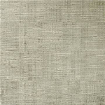 Ciro Elephant by Kasmir Designer Fabric 5100 56% Rayon 44% Polyester CHINA 51,000 Wyzenbeek Double Rubs H: N/A, V: N/A 55 - Swanky Fabrics - Kasmir