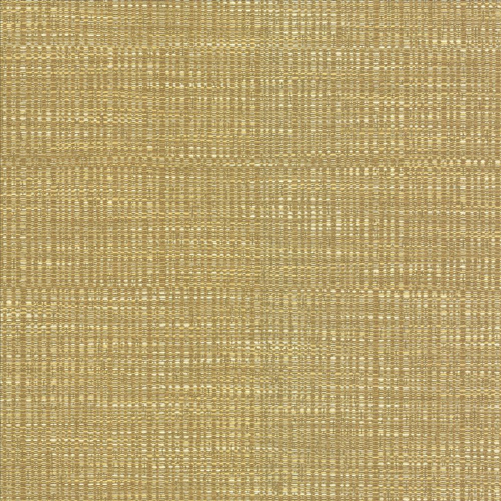 Ciro Honeysuckle  by Kasmir Designer Fabric 5093 56% Rayon
44% Polyester
 CHINA 51,000 Wyzenbeek Double Rubs Horizontal: N/A and Vertical: N/A 55  - Swanky Fabrics -