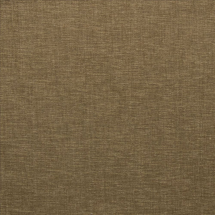 Cityview Almond  by Kasmir Designer Fabric 5186 100% Other Fiber  INDIA  </p><p>Repeat: Horizontal: N/A and Vertical:  0 inches 54  - Swanky Fabrics -