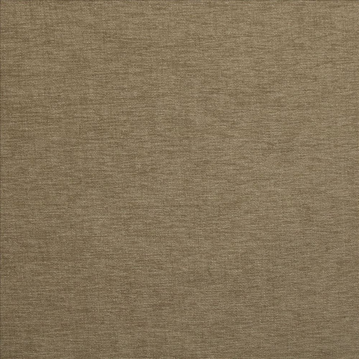 Cityview Beige  by Kasmir Designer Fabric 5186 100% Other Fiber  INDIA  </p><p>Repeat: Horizontal: N/A and Vertical:  0 inches 54  - Swanky Fabrics -