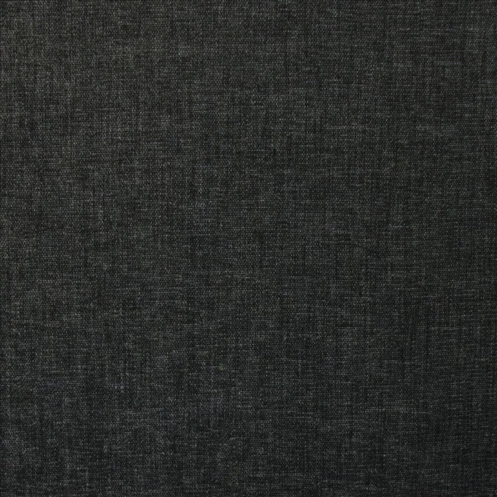 Cityview Carbon  by Kasmir Designer Fabric 5186 100% Other Fiber  INDIA  </p><p>Repeat: Horizontal: N/A and Vertical:  0 inches 54  - Swanky Fabrics -