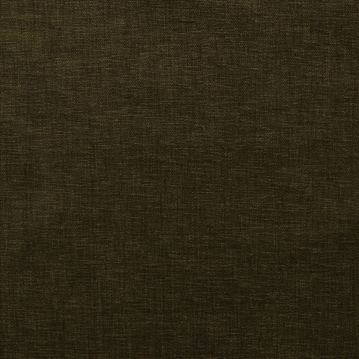 Cityview Chocolate  by Kasmir Designer Fabric 5186 100% Other Fiber  INDIA  </p><p>Repeat: Horizontal: N/A and Vertical:  0 inches 54  - Swanky Fabrics -