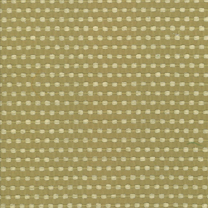 Come And Go Sprout by Kasmir Designer Fabric 5074 100% Polyester
 CHINA </p><p>Repeat: Horizontal: 4/8 inches and Vertical: 1 inches 56 - Swanky Fabrics -