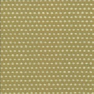 Come And Go Sprout by Kasmir Designer Fabric