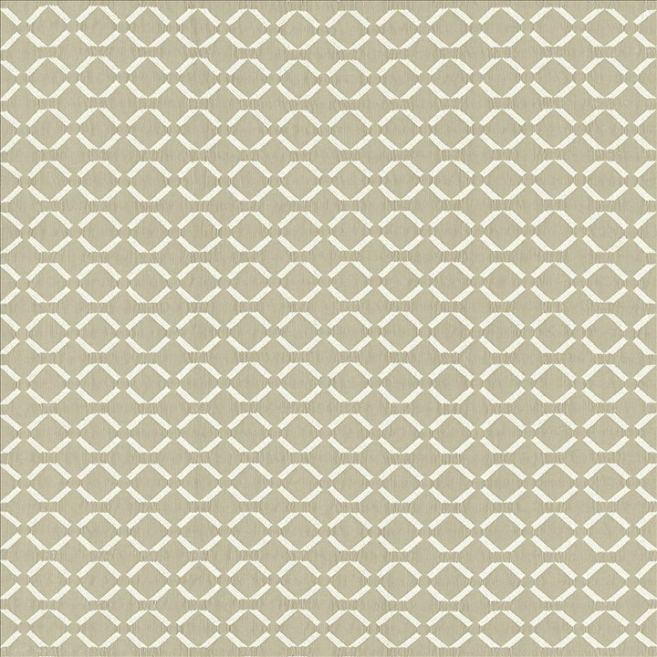 Community Cloud by Kasmir Designer Fabric 5141 72% Polyester 28% Cotton INDIA Not Tested Horizontal: 1 3/8 inches and Vertical: 1 2/8 inches 54 - Swanky Fabrics -