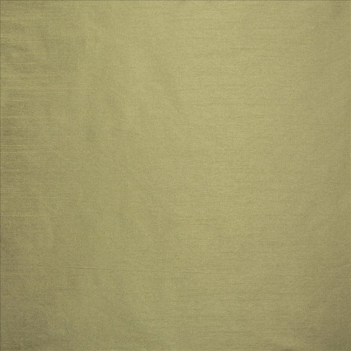 Complementary Aloe by Kasmir Designer Fabric 5168 100% Polyester
 INDIA Not Tested </p><p>Repeat: Horizontal: N/A and Vertical: N/A 54 - Swanky Fabrics -