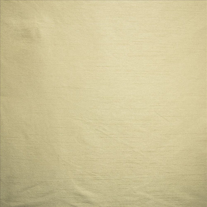 Complementary Birch by Kasmir Designer Fabric 5168 100% Polyester
 INDIA </p><p>Repeat: Horizontal: N/A and Vertical: N/A 54 - Swanky Fabrics -