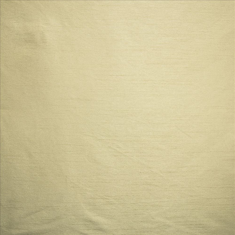 Complementary Birch by Kasmir Designer Fabric 5168 100% Polyester
 INDIA </p><p>Repeat: Horizontal: N/A and Vertical: N/A 54 - Swanky Fabrics -