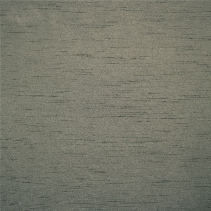Complementary Charcoal by Kasmir Designer Fabric 5168 100% Polyester
 INDIA </p><p>Repeat: Horizontal: N/A and Vertical: N/A 54 - Swanky Fabrics -