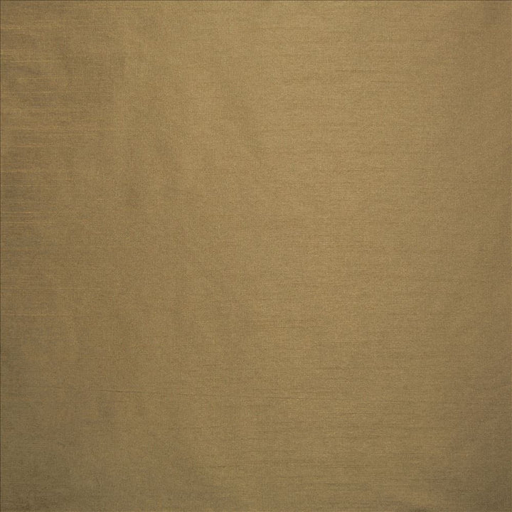 Complementary Dark Beige by Kasmir Designer Fabric 5168 100% Polyester
 INDIA Not Tested </p><p>Repeat: Horizontal: N/A and Vertical: N/A 54 - Swanky Fabrics -