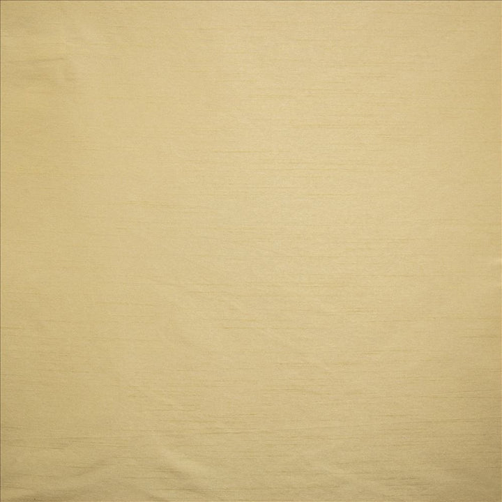 Complementary Driftwood by Kasmir Designer Fabric 5168 100% Polyester
 INDIA Not Tested </p><p>Repeat: Horizontal: N/A and Vertical: N/A 54 - Swanky Fabrics -