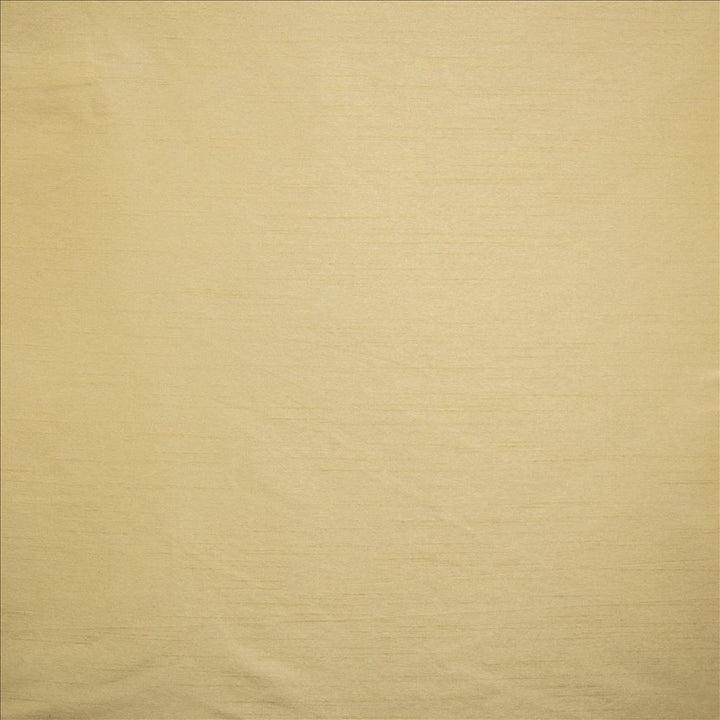Complementary Driftwood by Kasmir Designer Fabric 5168 100% Polyester
 INDIA </p><p>Repeat: Horizontal: N/A and Vertical: N/A 54 - Swanky Fabrics -