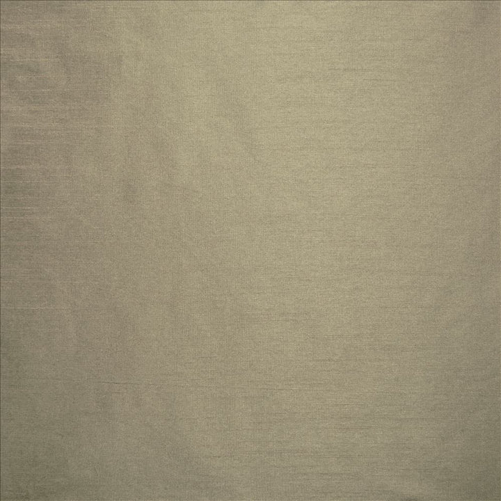 Complementary Fog by Kasmir Designer Fabric 5168 100% Polyester
 INDIA </p><p>Repeat: Horizontal: N/A and Vertical: N/A 54 - Swanky Fabrics -