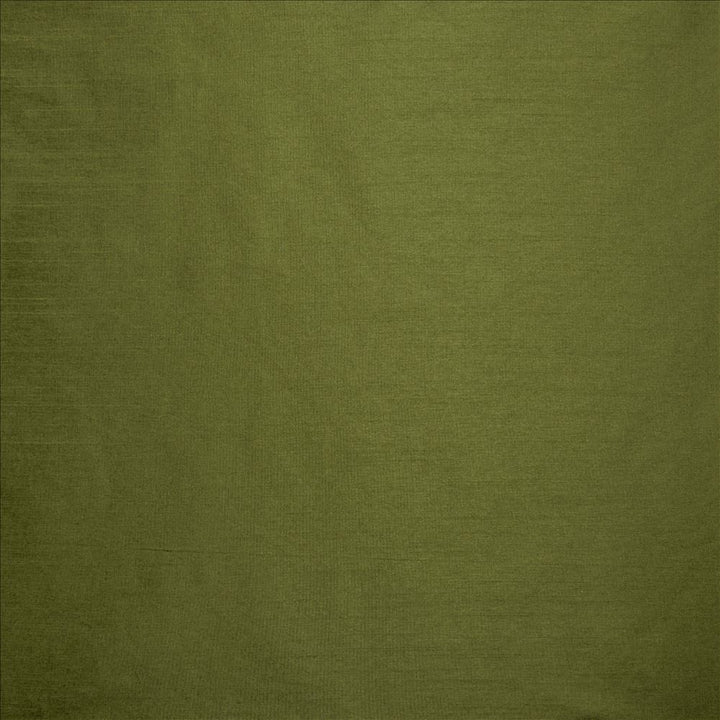 Complementary Grass by Kasmir Designer Fabric 5168 100% Polyester
 INDIA Not Tested </p><p>Repeat: Horizontal: N/A and Vertical: N/A 54 - Swanky Fabrics -