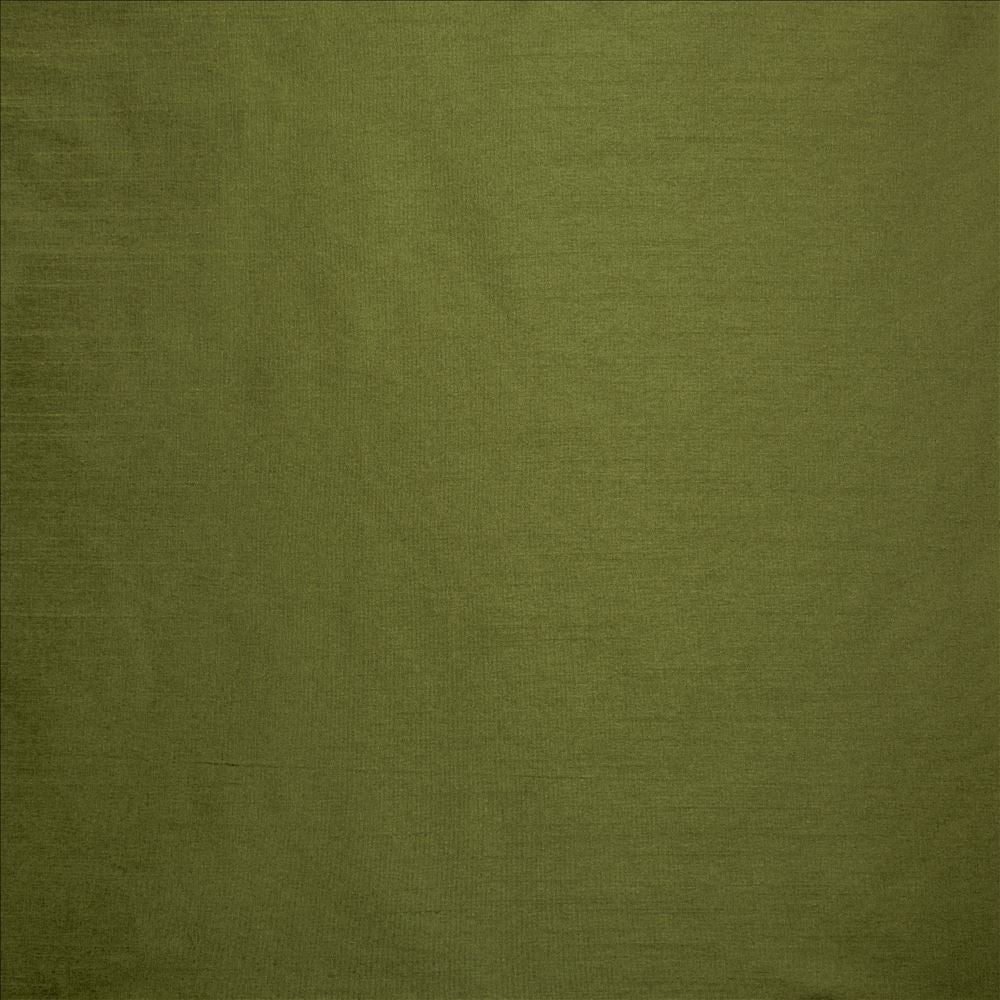 Complementary Grass by Kasmir Designer Fabric 5168 100% Polyester
 INDIA </p><p>Repeat: Horizontal: N/A and Vertical: N/A 54 - Swanky Fabrics -