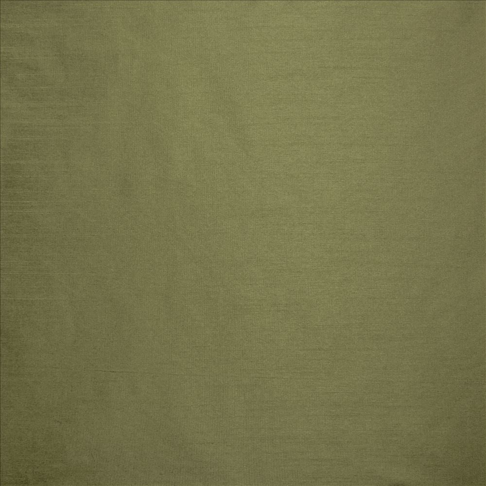 Complementary Lichen by Kasmir Designer Fabric 5168 100% Polyester
 INDIA </p><p>Repeat: Horizontal: N/A and Vertical: N/A 54 - Swanky Fabrics -