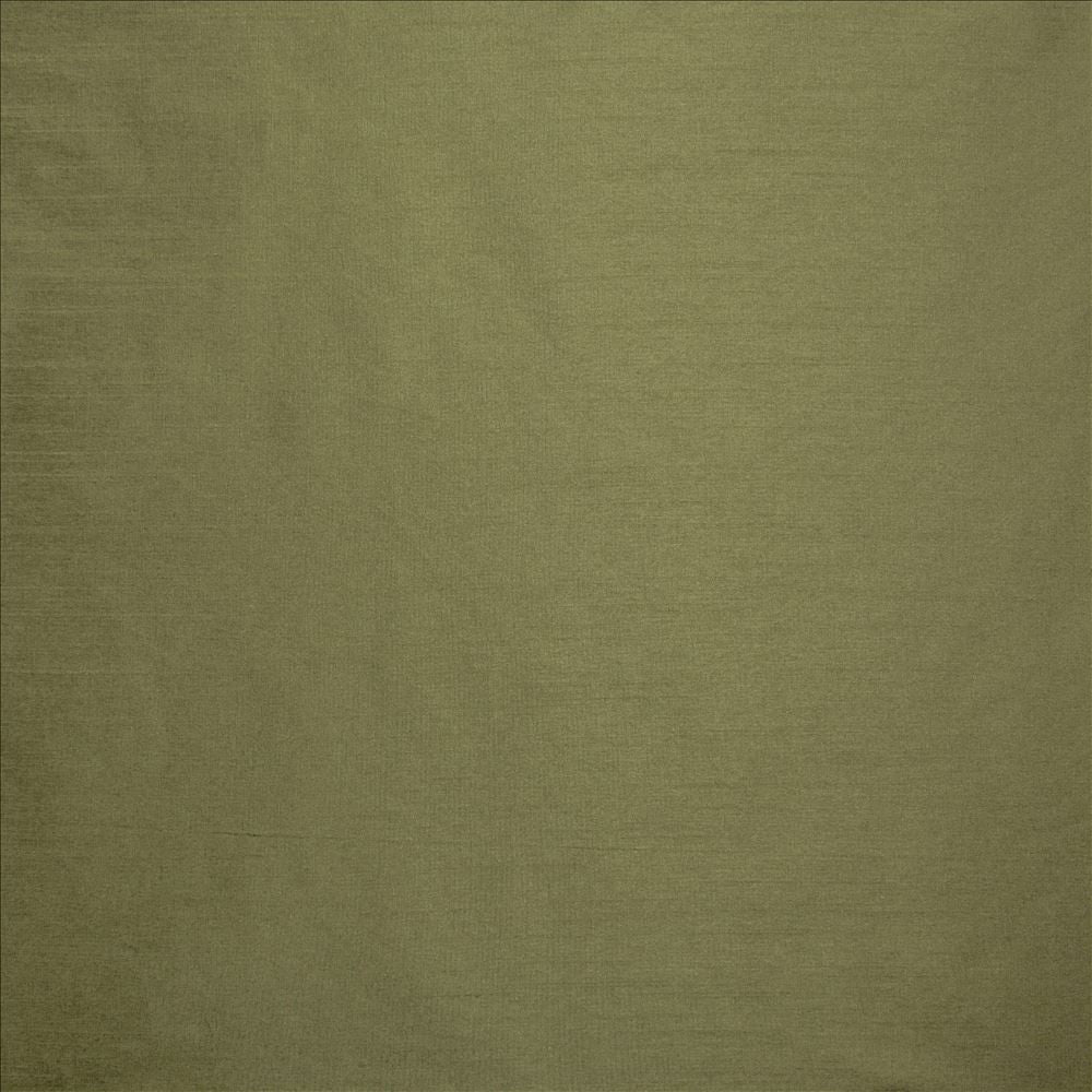 Complementary Lichen by Kasmir Designer Fabric 5168 100% Polyester
 INDIA Not Tested </p><p>Repeat: Horizontal: N/A and Vertical: N/A 54 - Swanky Fabrics -