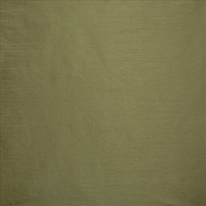Complementary Lichen by Kasmir Designer Fabric 5168 100% Polyester
 INDIA Not Tested </p><p>Repeat: Horizontal: N/A and Vertical: N/A 54 - Swanky Fabrics -