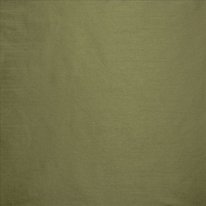 Complementary Lichen by Kasmir Designer Fabric See sample 100% Polyester
 INDIA Not Tested </p><p>Repeat: Horizontal: N/A and Vertical: N/A 54 - Swanky Fabrics -