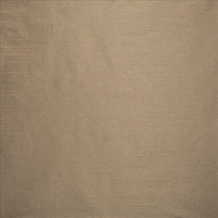 Complementary Mink by Kasmir Designer Fabric 5168 100% Polyester
 INDIA </p><p>Repeat: Horizontal: N/A and Vertical: N/A 54 - Swanky Fabrics -