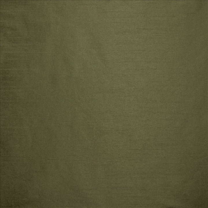 Complementary Pine by Kasmir Designer Fabric 5168 100% Polyester
 INDIA Not Tested </p><p>Repeat: Horizontal: N/A and Vertical: N/A 54 - Swanky Fabrics -