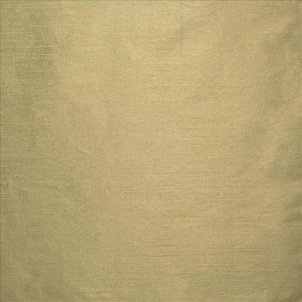 Complementary Truffle by Kasmir Designer Fabric 5168 100% Polyester
 INDIA </p><p>Repeat: Horizontal: N/A and Vertical: N/A 54 - Swanky Fabrics -