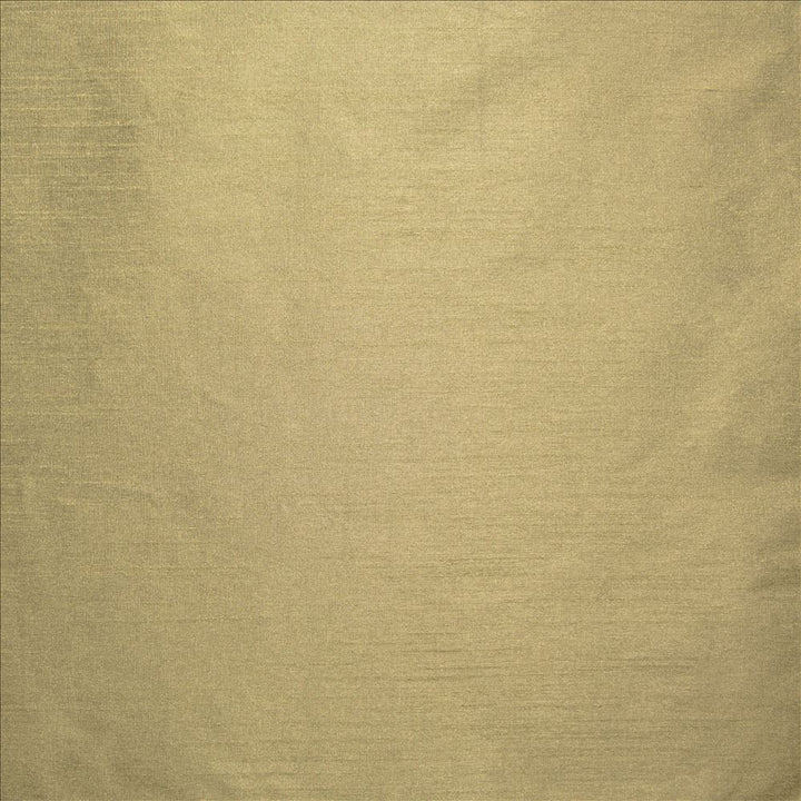 Complementary Truffle by Kasmir Designer Fabric 5168 100% Polyester
 INDIA </p><p>Repeat: Horizontal: N/A and Vertical: N/A 54 - Swanky Fabrics -