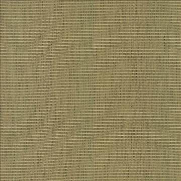 Contadina Kiwi by Kasmir Designer Fabric 5099 100% Polyester CHINA 24,000 Wyzenbeek Double Rubs H: N/A, V: 2/8 inches 54 - 58 - Swanky Fabrics - Kasmir