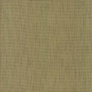 Contadina Kiwi by Kasmir Designer Fabric