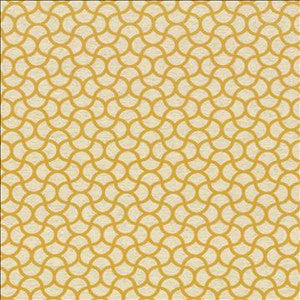 Coolrain Golden by Kasmir Designer Fabric
