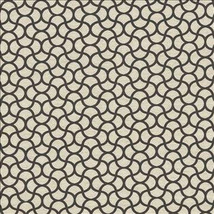 Coolrain Thunder by Kasmir Designer Fabric
