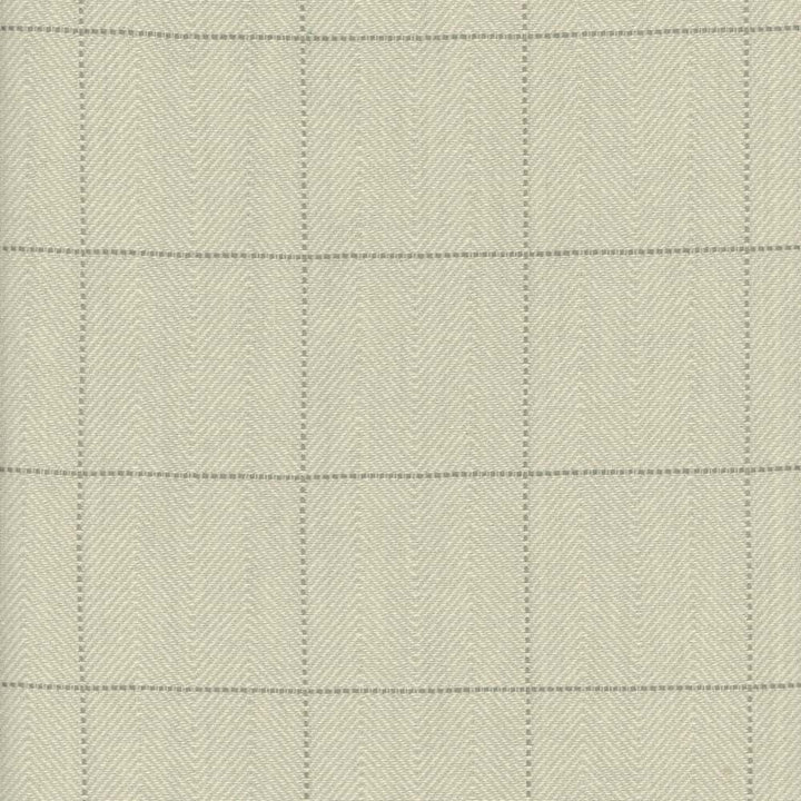 Copley Square Aloe by Roth & Tompkins Fabric - 100% Cotton - India - 0-15,000 double rubs - V: 2.3"  H: 2.3" - 54" - Fabric Carolina -