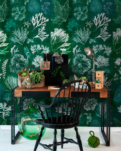 Mind The Gap Wallpaper ALGAE Moss Wallpaper (WP20296)