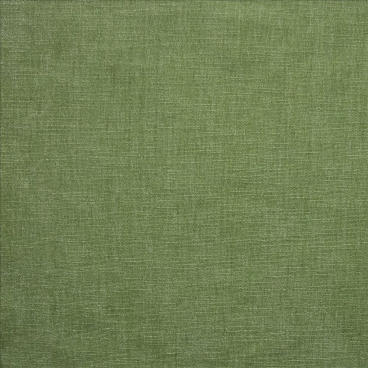 Corato Aloe  by Kasmir Designer Fabric 5187 62% Polyester 38% Cotton  INDIA  </p><p>Repeat: Horizontal: N/A and Vertical:  0 inches 54  - Swanky Fabrics -