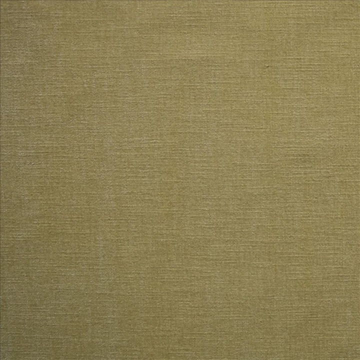 Corato Flax  by Kasmir Designer Fabric 5187 62% Polyester 38% Cotton  INDIA  </p><p>Repeat: Horizontal: N/A and Vertical:  0 inches 54  - Swanky Fabrics -