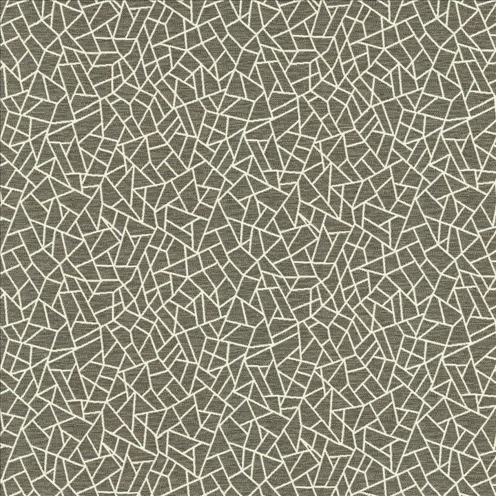 Cracked Glass Pewter by Kasmir Designer Fabric See sample 65% Polyester
35% Cotton
 INDIA 50,000 Wyzenbeek Double Rubs </p><p>Repeat: Horizontal: 6 6/8 inches and Vertical: 7 6/8 inches 55 - Swanky Fabrics -
