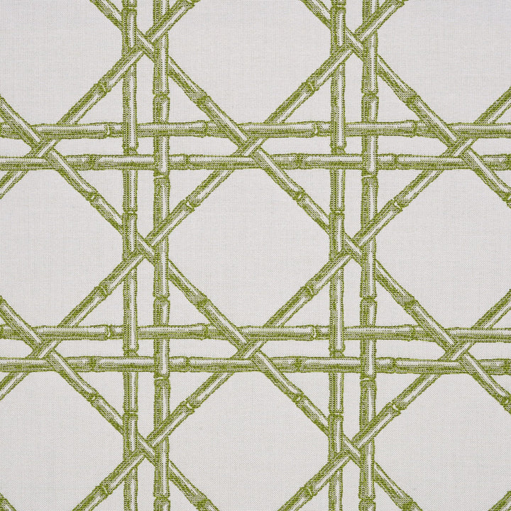 145218-0007 Reign Jungle by Sunbrella Designer Fabric Sunbrella Fusion Sunbrella® Acrylic, Sunbrella® Polyester USA or Imported 5-Year Horizontal: 5.4 in. and Vertical: 5.6 in. 54 in. - Swanky Fabrics -