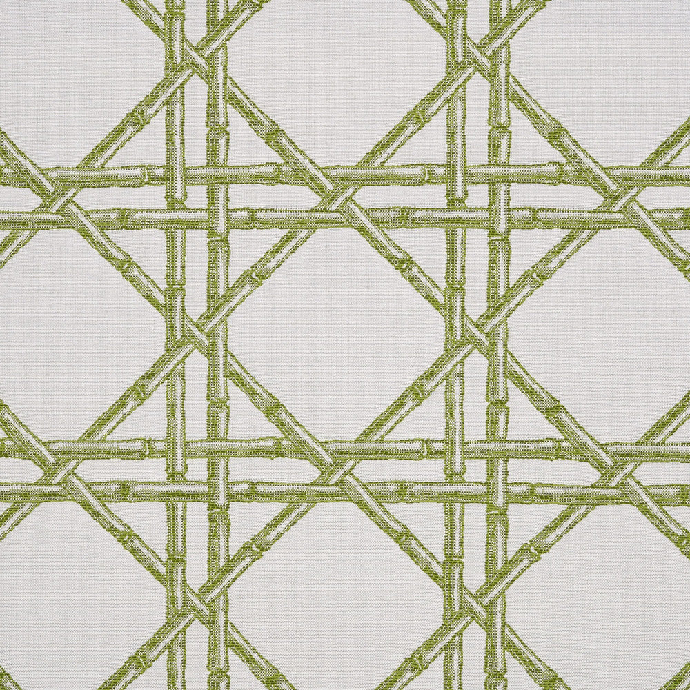 145218-0007 Reign Jungle by Sunbrella Designer Fabric Sunbrella Fusion SunbrellaÂ® Acrylic, SunbrellaÂ® Polyester USA or Imported 5-Year Horizontal: 5.4 in. and Vertical: 5.6 in. 54 in. - Swanky Fabrics -