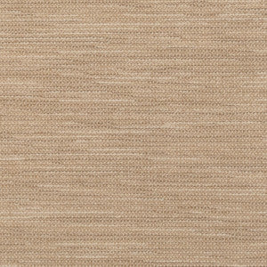 Charmer Limestone 42111-0002 by Sunbrella Designer Fabric